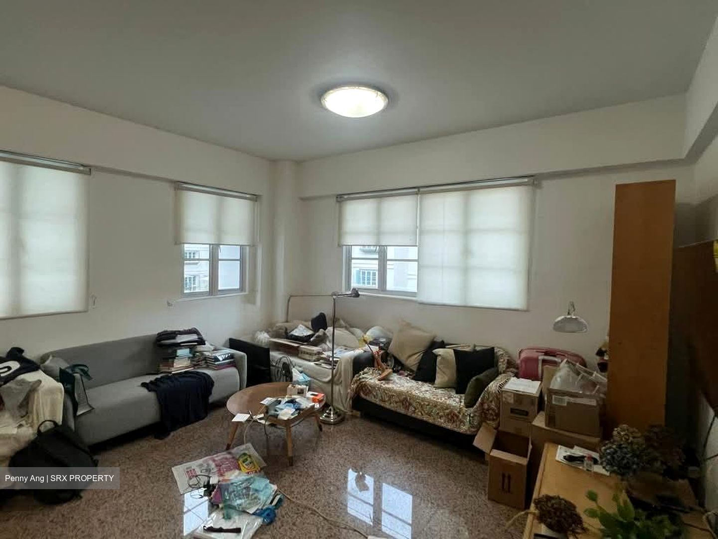 Shelford Regency (D11), Condominium #586771301